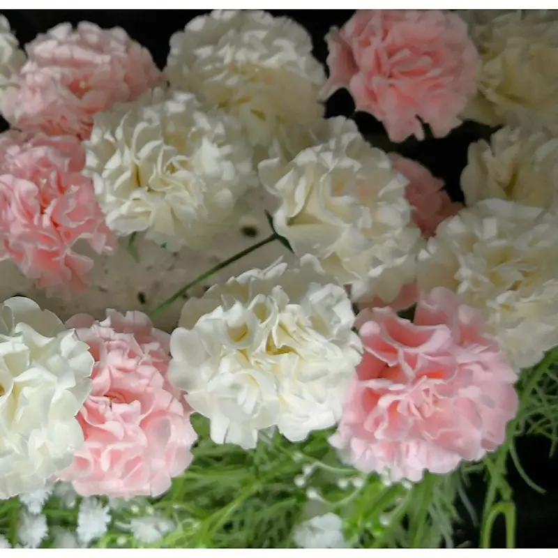Carnation Sugar Flower Masterclass – Video Tutorial