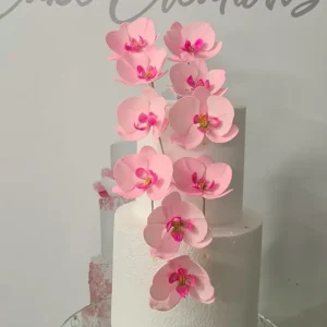 Moth Orchid Sugar Flower Masterclass – Video Tutorial