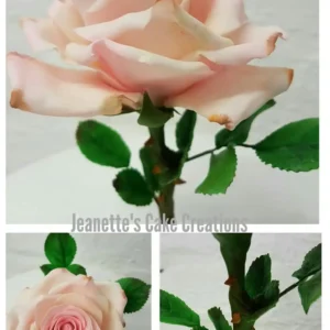 Special Rose Sugar Flower Masterclass – Video Tutorial